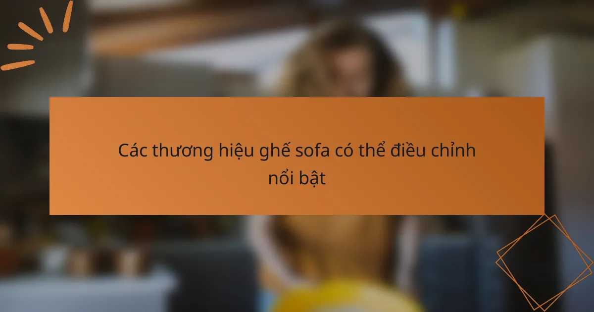 Các thương hiệu ghế sofa có thể điều chỉnh nổi bật