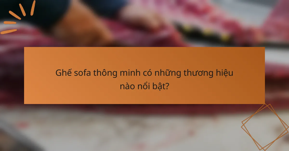 Ghế sofa thông minh có những thương hiệu nào nổi bật?