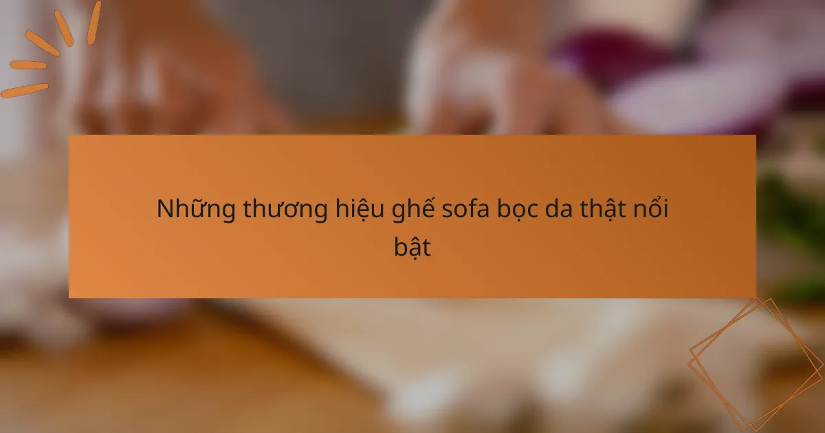 Những thương hiệu ghế sofa bọc da thật nổi bật